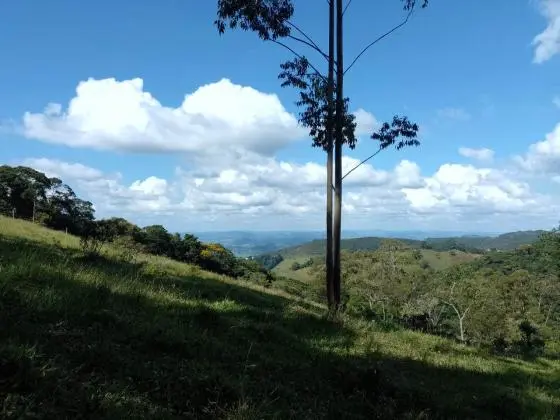 Chácara à venda em Poços de Caldas - MG  | 20.000m2 | Colinas. R$420.000, 00