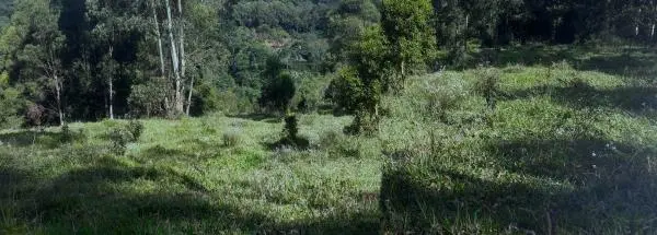 Chácara à venda em Poços de Caldas - MG  | 20.000m2 | Colinas. R$420.000, 00