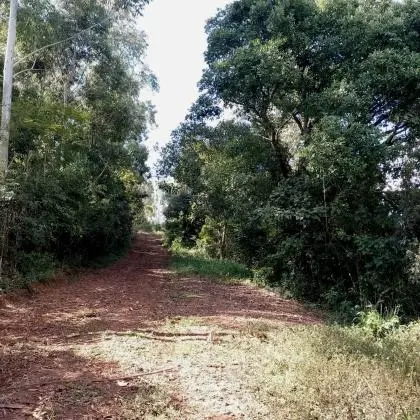Chácara à venda em Poços de Caldas - MG  | 20.000m2 | Colinas. R$420.000, 00