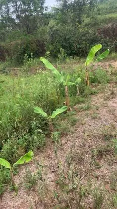 Chácara próximo ao Rio Areias