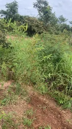 Chácara próximo ao Rio Areias
