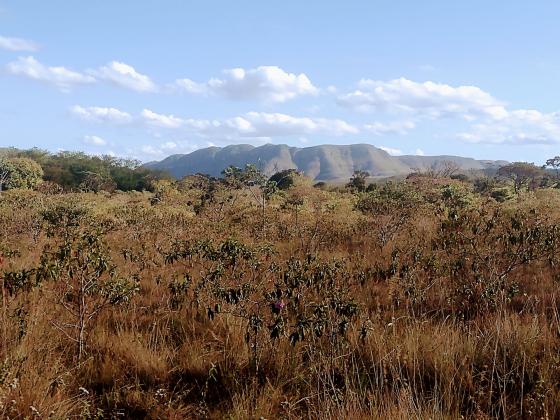 Terreno a venda de 10, 5 ha a 10km do centro de Alto Paraiso de Goias