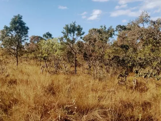 Terreno a venda de 10, 5 ha a 10km do centro de Alto Paraiso de Goias