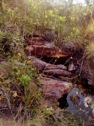 Terreno a venda de 10, 5 ha a 10km do centro de Alto Paraiso de Goias