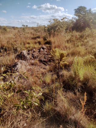 Terreno a venda de 10, 5 ha a 10km do centro de Alto Paraiso de Goias
