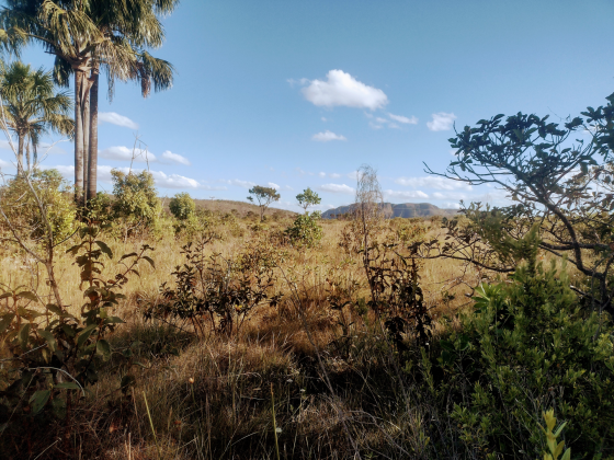 Terreno a venda de 10, 5 ha a 10km do centro de Alto Paraiso de Goias