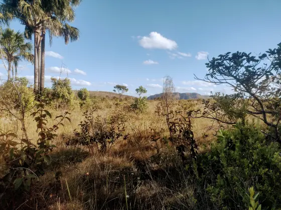 Terreno a venda de 10, 5 ha a 10km do centro de Alto Paraiso de Goias