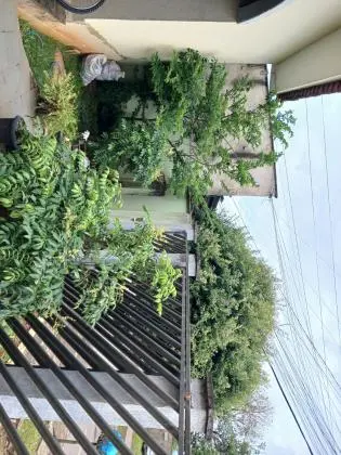 Casa com sala comercial