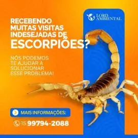Dedetização, controle de pragas, ratos, baratas , aranhas , escorpião,  limpeza em caixas de água
