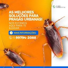 Dedetização, controle de pragas, ratos, baratas , aranhas , escorpião,  limpeza em caixas de água
