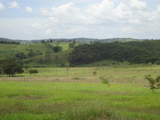 Lote 1.700m² em Crucilândia/Bonfim MG- Financia