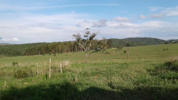 Lote 1.700m² em Crucilândia/Bonfim MG- Financia
