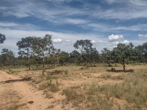 Lotes 1.000m²financiados em Corinto MG