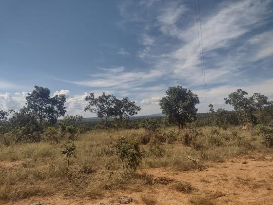 Lotes 1.000m²financiados em Corinto MG
