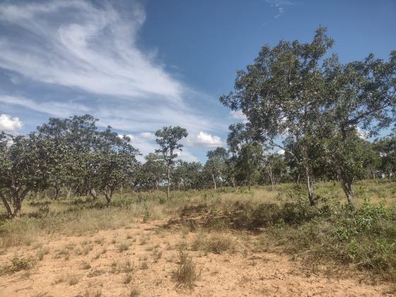 Lotes 1.000m²financiados em Corinto MG