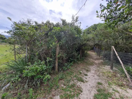 Terreno à venda, 4000 m² por R$ 600.000 - Macacú - Garopaba/SC