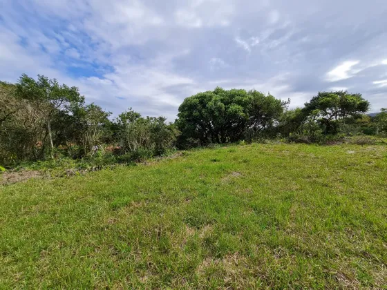 Terreno à venda, 4000 m² por R$ 600.000 - Macacú - Garopaba/SC