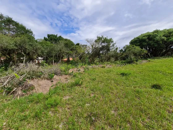 Terreno à venda, 4000 m² por R$ 600.000 - Macacú - Garopaba/SC