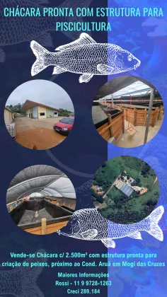 Chácara Com Casa e Estrutura para Piscicultura