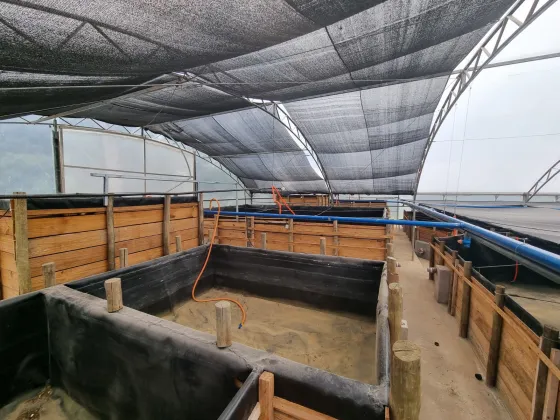 Chácara com Estrutura pronta para Piscicultura