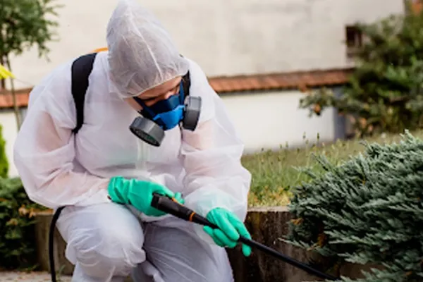 Empresa Dedetizadora na Zona Leste