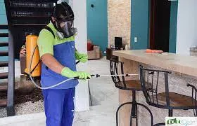 Empresa Dedetizadora na Zona Leste