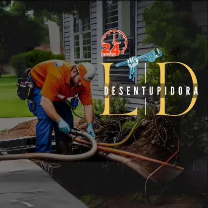LD DESENTUPIDORA