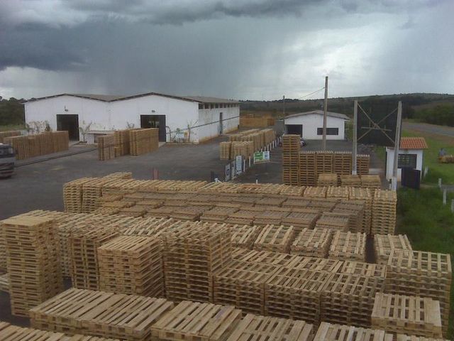 GVP Pallets e Embalagens em Madeira Reflorestada