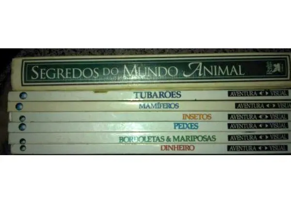 Livros Aventura Visual + brinde