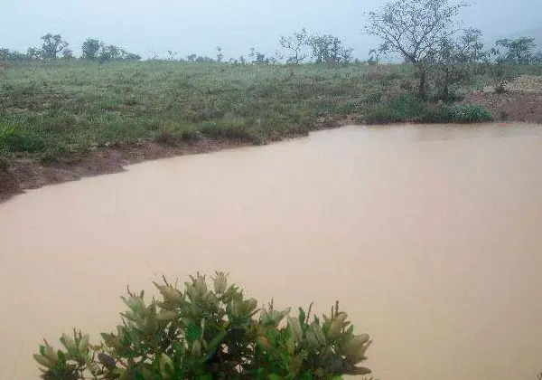 Terreno De 3 Hectares 12.000.00 Escriturado