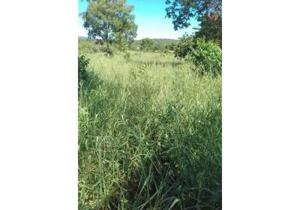 5 Hectares Na Saida P/ juramento 27 Km moc 85.000.00