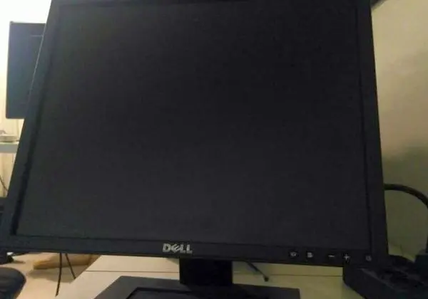 Monitor Dell Ultrasharp Professional 20