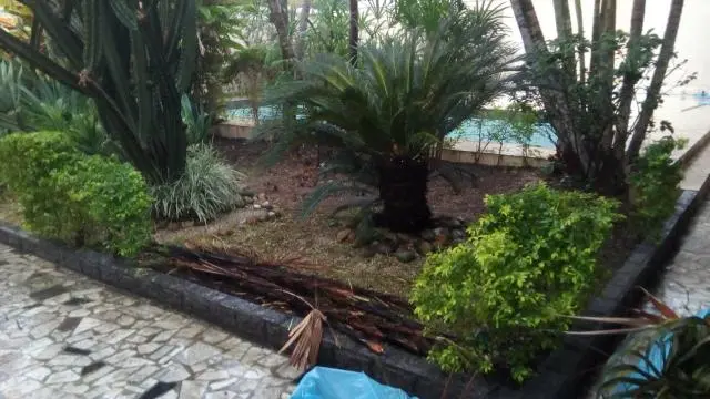 Manutenção de jardim