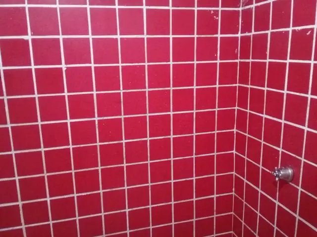 Edmilson Pedreiro BOM e Barato