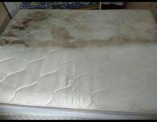 Limpeza de estofado em geral