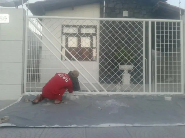 Pintor profissional