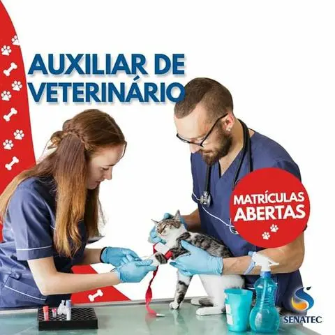 Auxiliar de veterinário