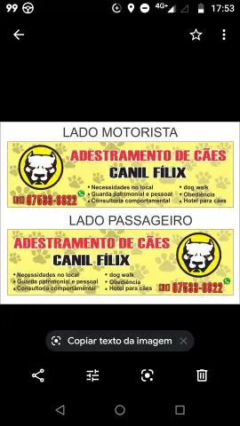 Adestramento de cães