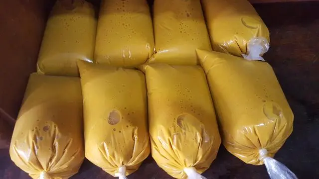 Buriti e Açaí para Revenda