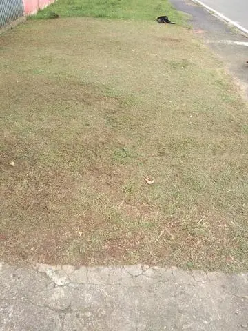 Jardinagem