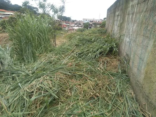 Limpeza e cercamento de lotes