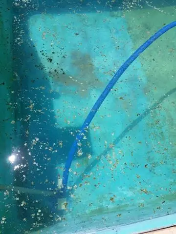 Operador de piscina - piscineiro
