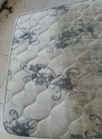 Higienizaçâo a seco de sofás, colchões, tapetes em domicílio!