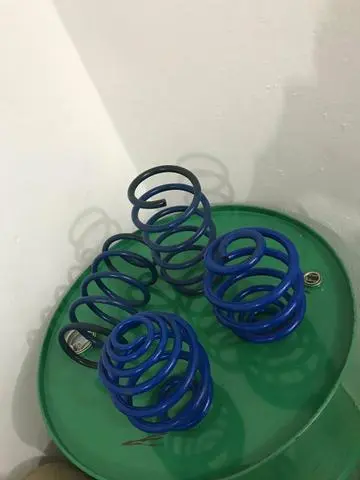 Molas esportivas