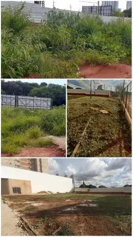 Frete, limpeza de terreno