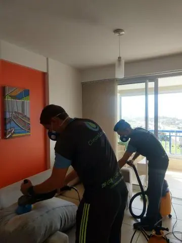 Lavagem a seco higienização de estofados