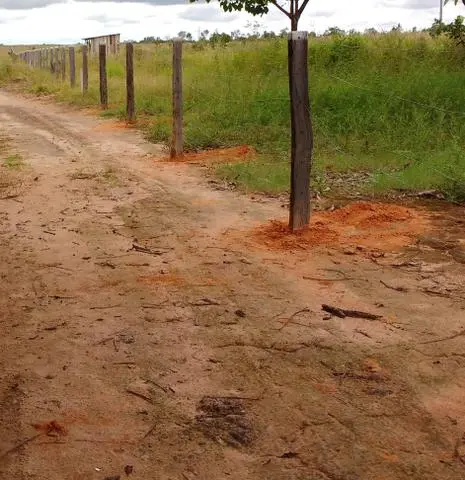 Cerqueiro profissional