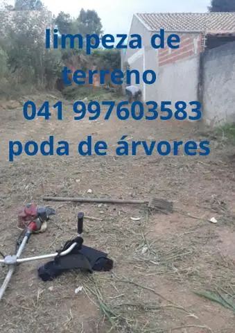 Serviços de jardinagem Poda de árvores