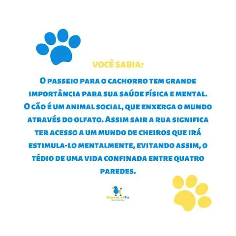 Passeio com seu pet