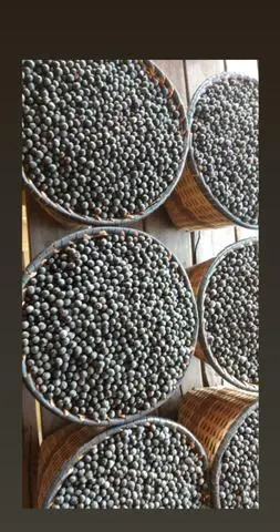 Fornecedor de açaí em caroço